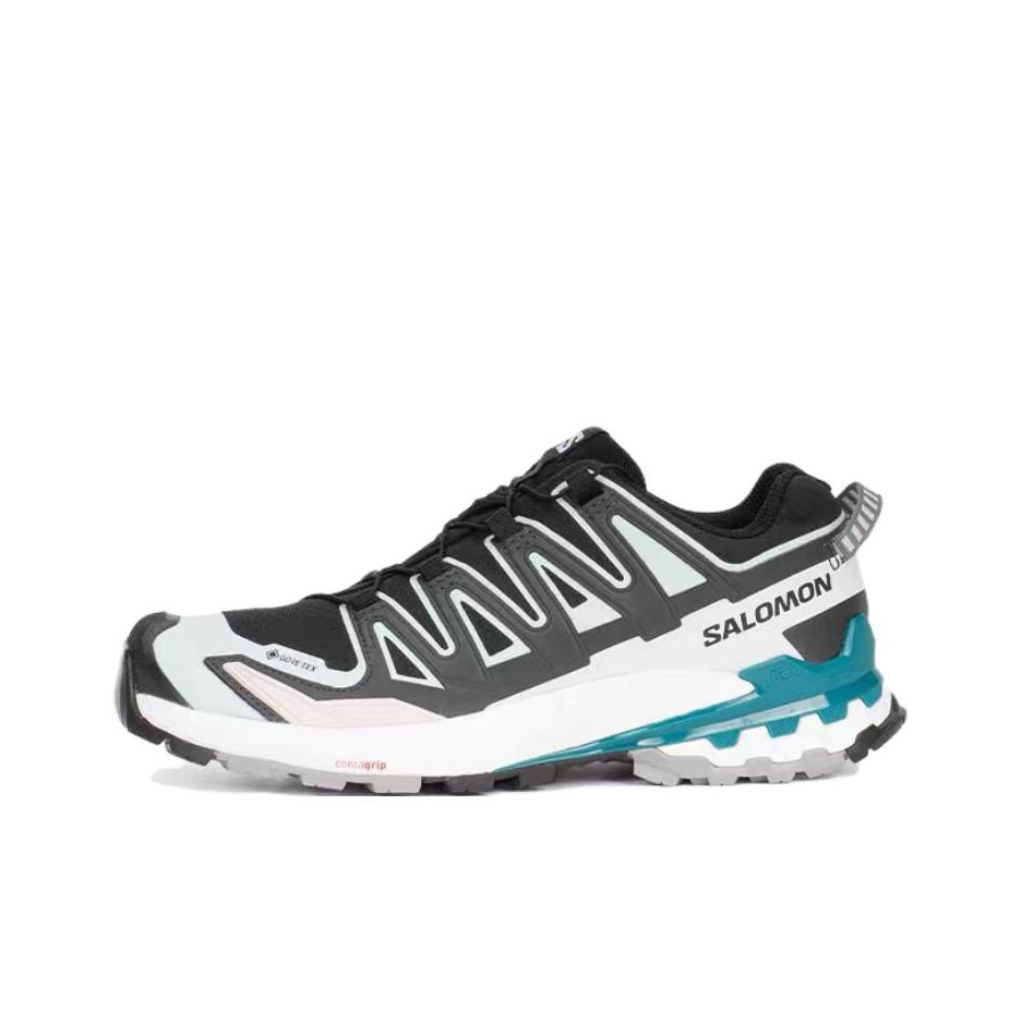 SALOMON XA Pro 3D V9 Komfortab – Salomon Shoes Xa Pro 3D Bewertung und Preis